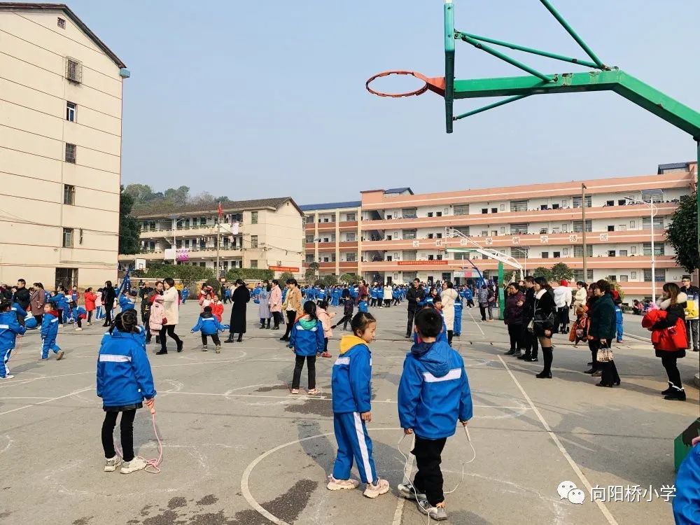 衡南县教育局-首页 衡南县教育局 政务公开 新闻中心 学校动态